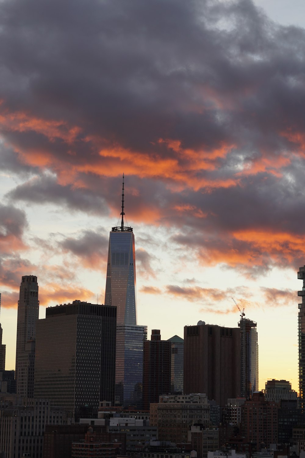 assorted tall buildings during sunset