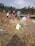 Several people are engaged in agricultural work, gathering and processing crops on a field. The setting is outdoors with grassy and hilly terrain in the background. There are bundles of harvested plants, sacks possibly filled with grains, and plastic bottles on the ground.