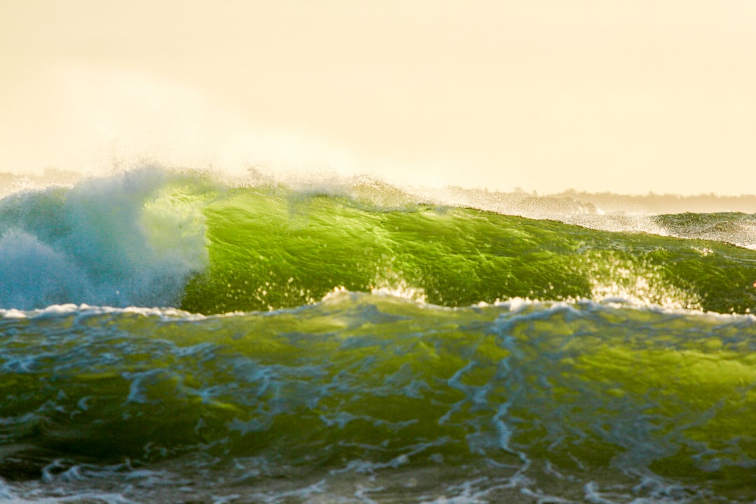 travelers stories about Surfing in Stenstrand, Sweden