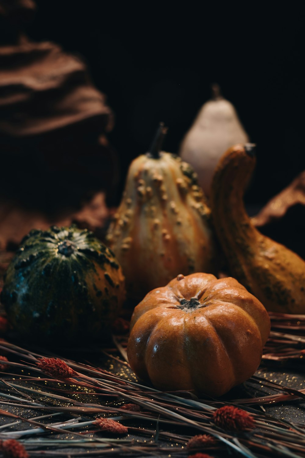 selective focus of squash