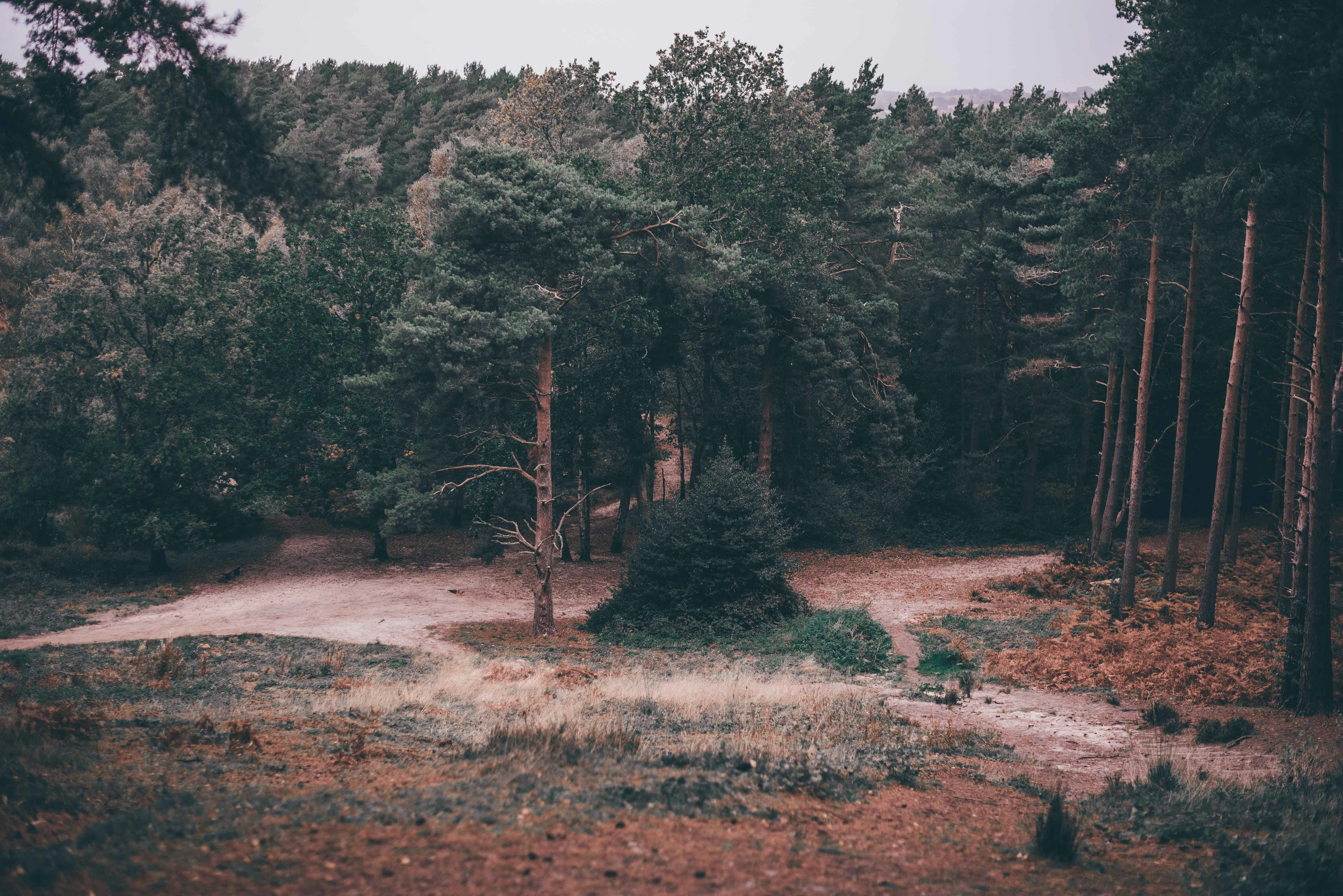 Photo by marcuslcramer