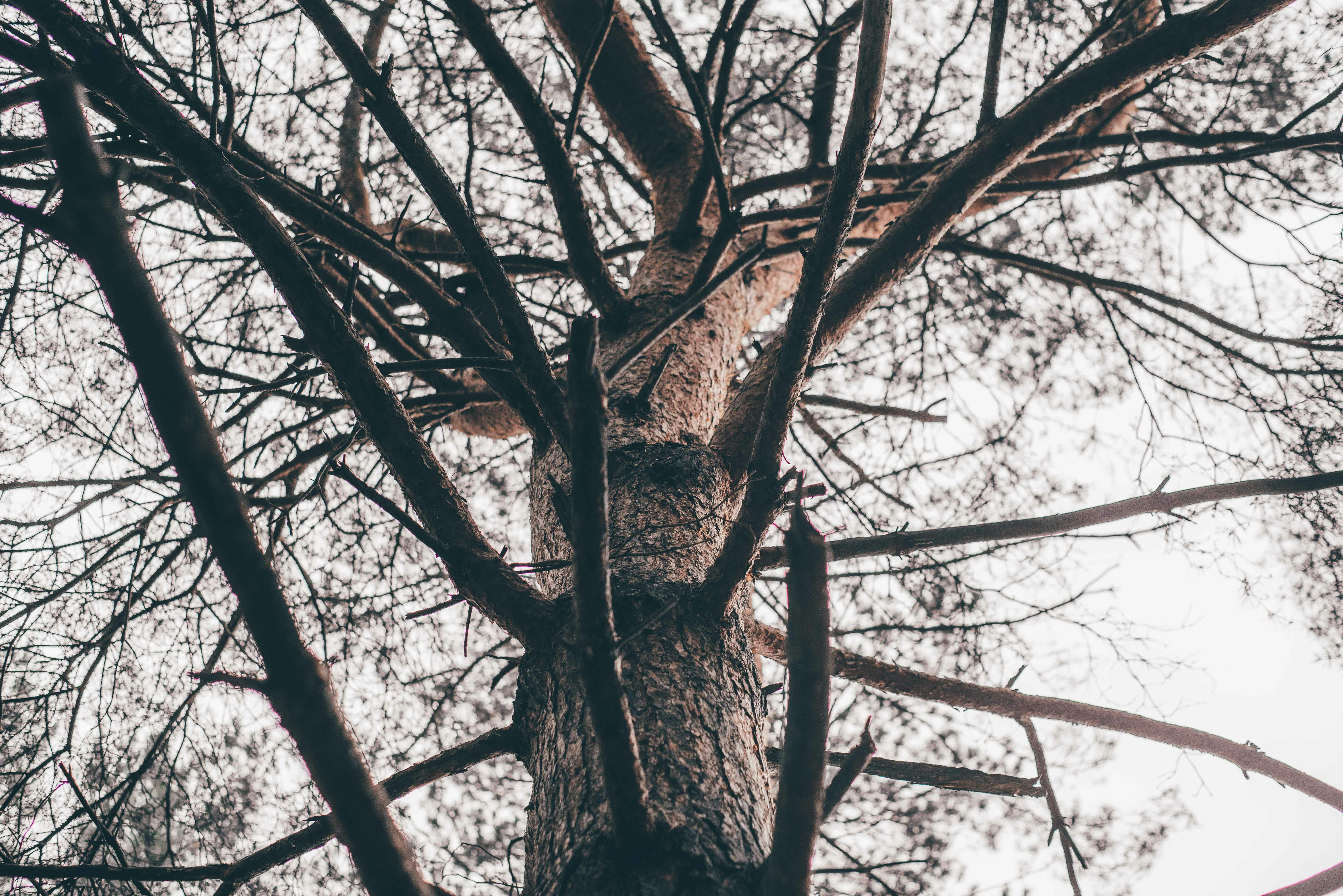 Photo by marcuslcramer