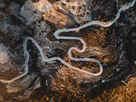 aerial photography of road