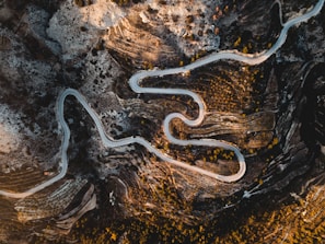 aerial photography of road
