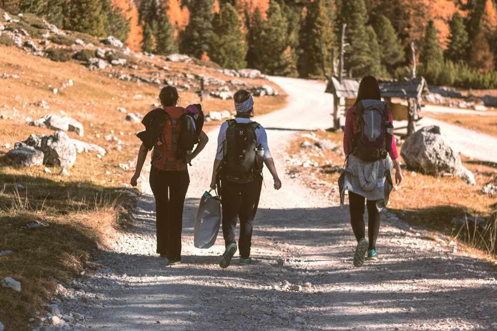 three person walking on mountain