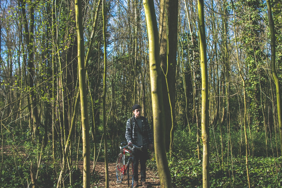 Forest photo spot Amsterdamse Bos Maasvlakte Rotterdam