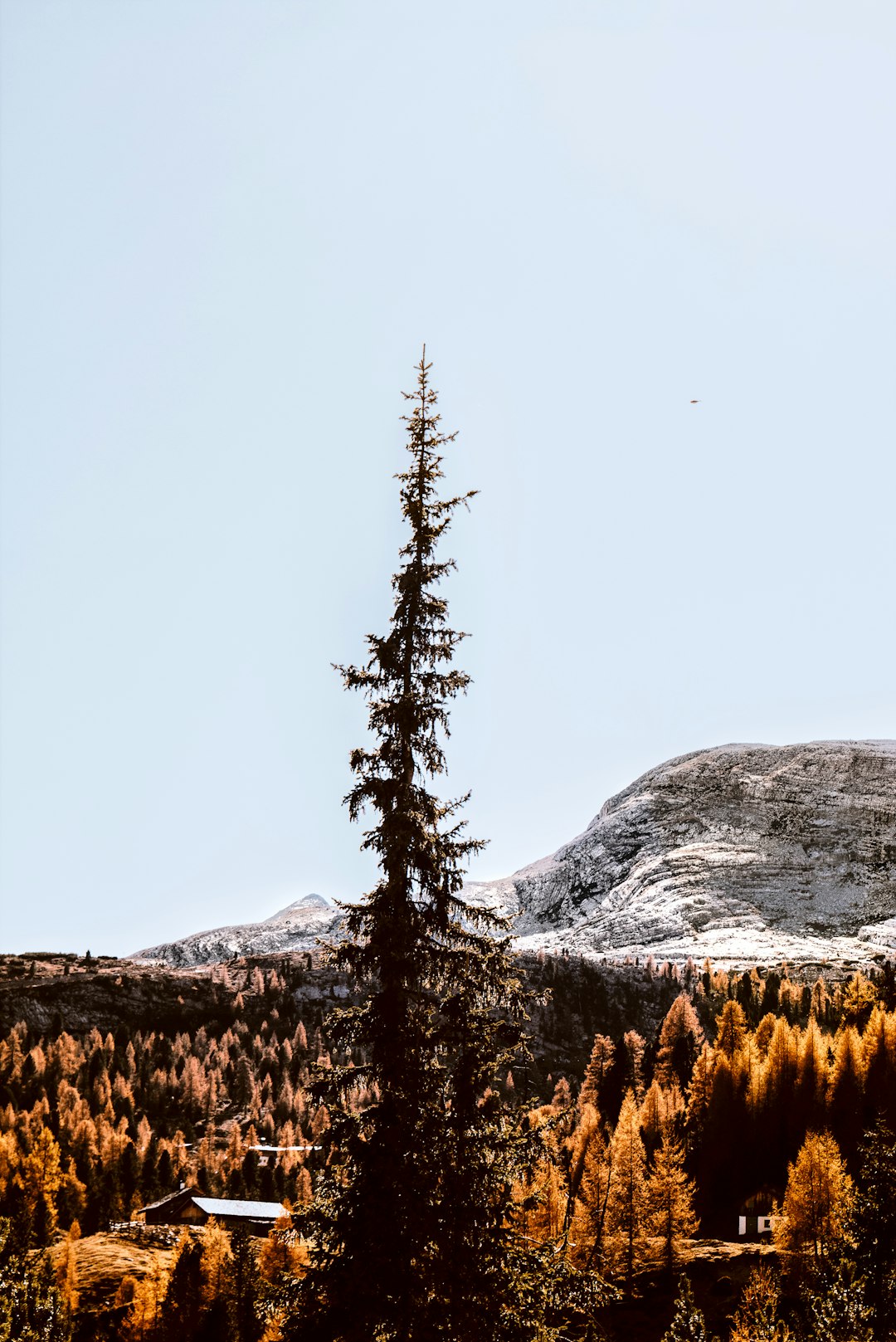 Mountain photo spot Naturpark Fanes-Sennes-Prags San Pellegrino Pass