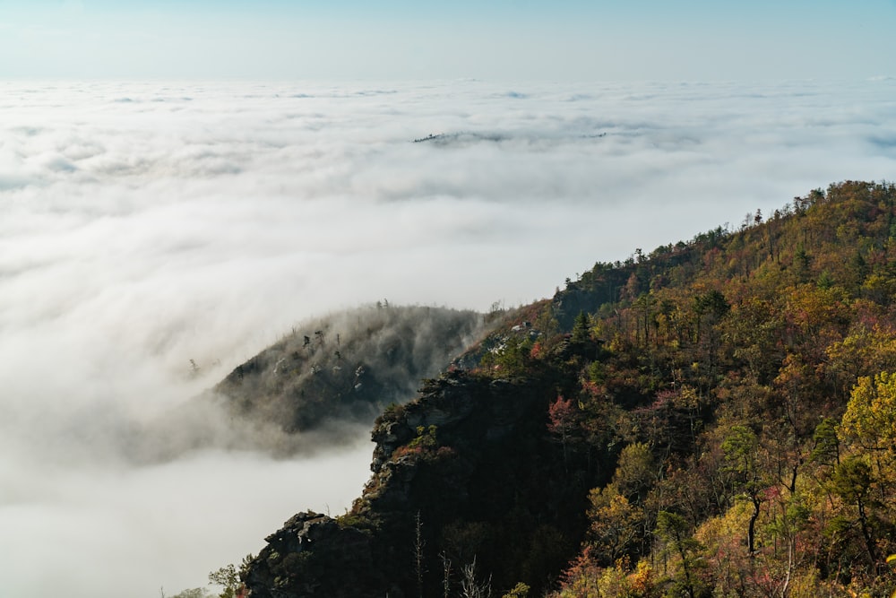 낮 산의 항공 사진