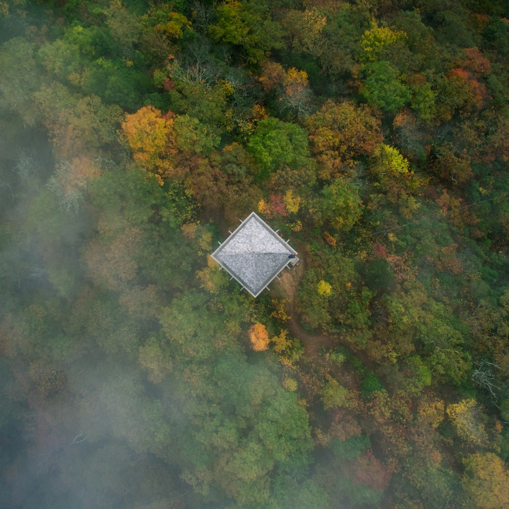 Vista de pájaro de una casa en medio del bosque
