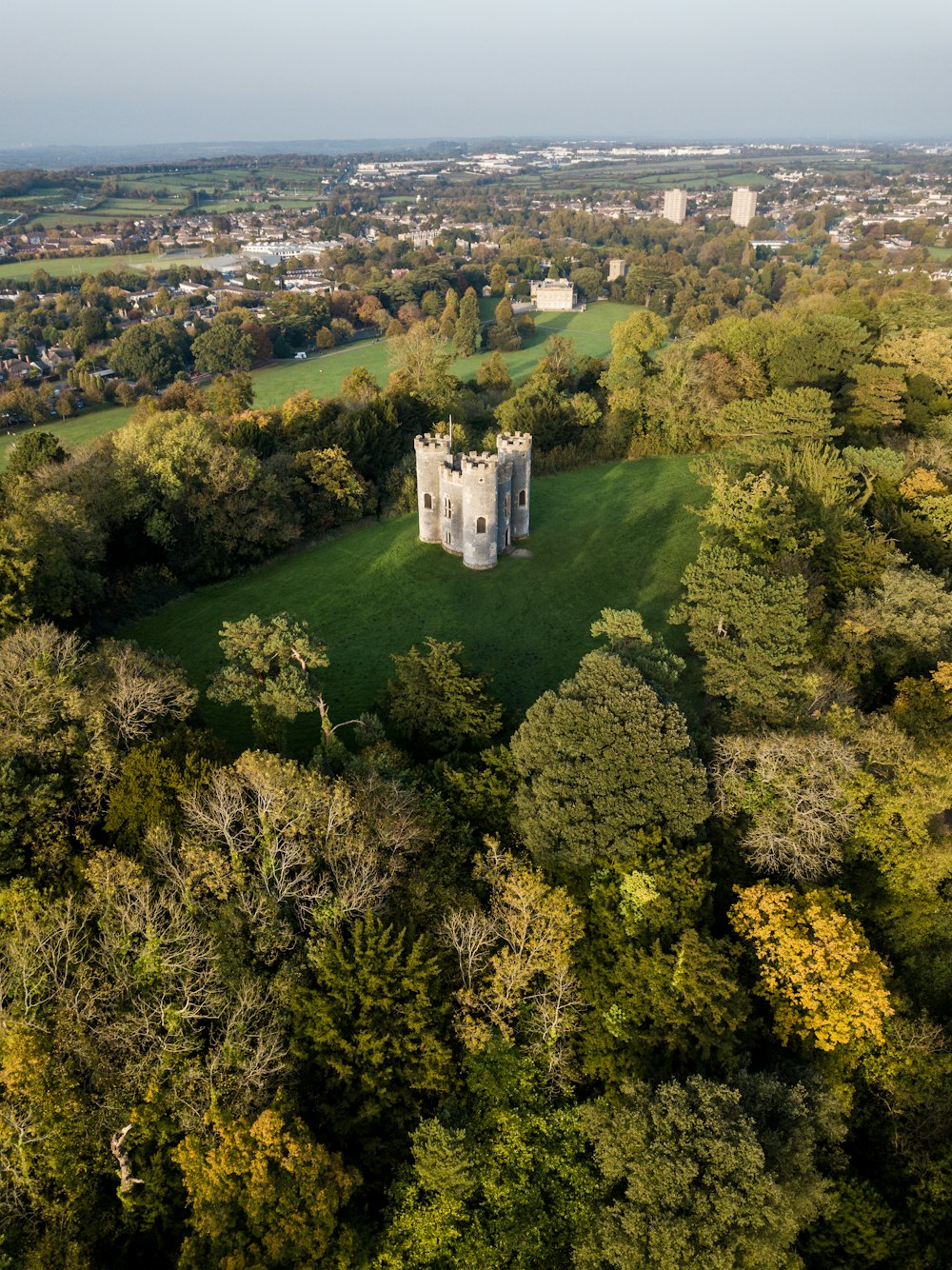 gray castle surrounded by trees