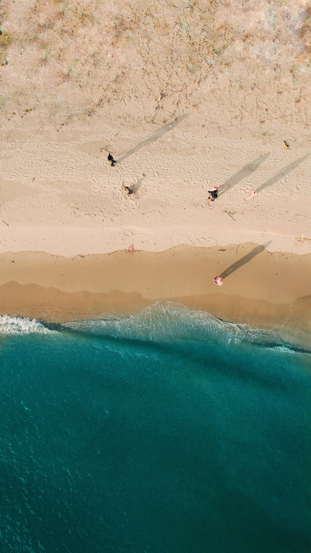 four person walking on sea shore