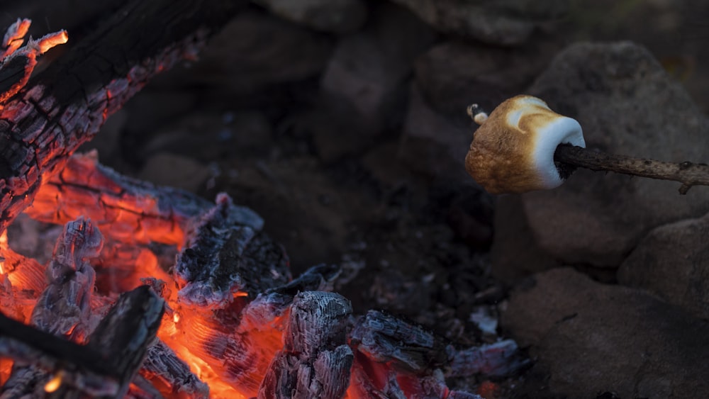 guimauve grillée sur feu de camp