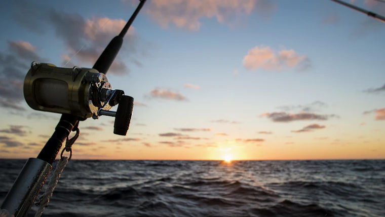 Silhouette of a fishing rod against a sunset sky over the sea