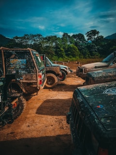 cars parked near trees