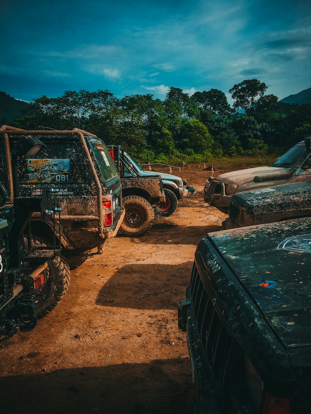 carros estacionados perto de árvores