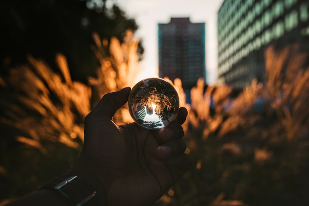 person holding glass ball