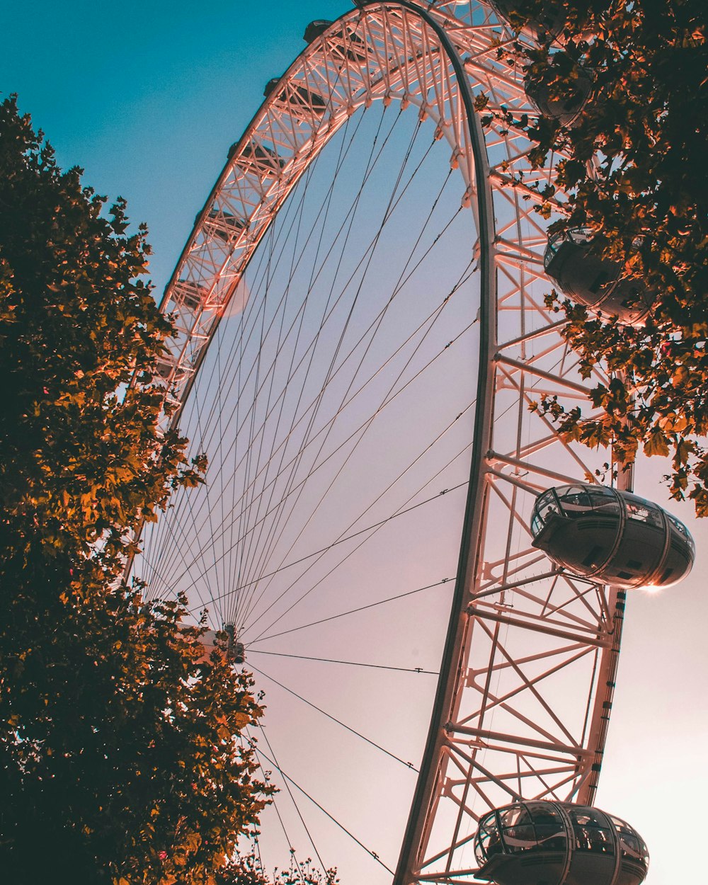 ground shot of ferris wheel