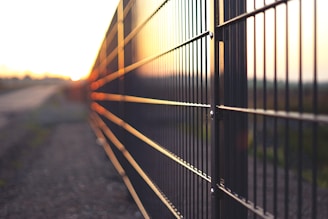 Wide shot of a sturdy metal fence surrounding a garden at sunset.