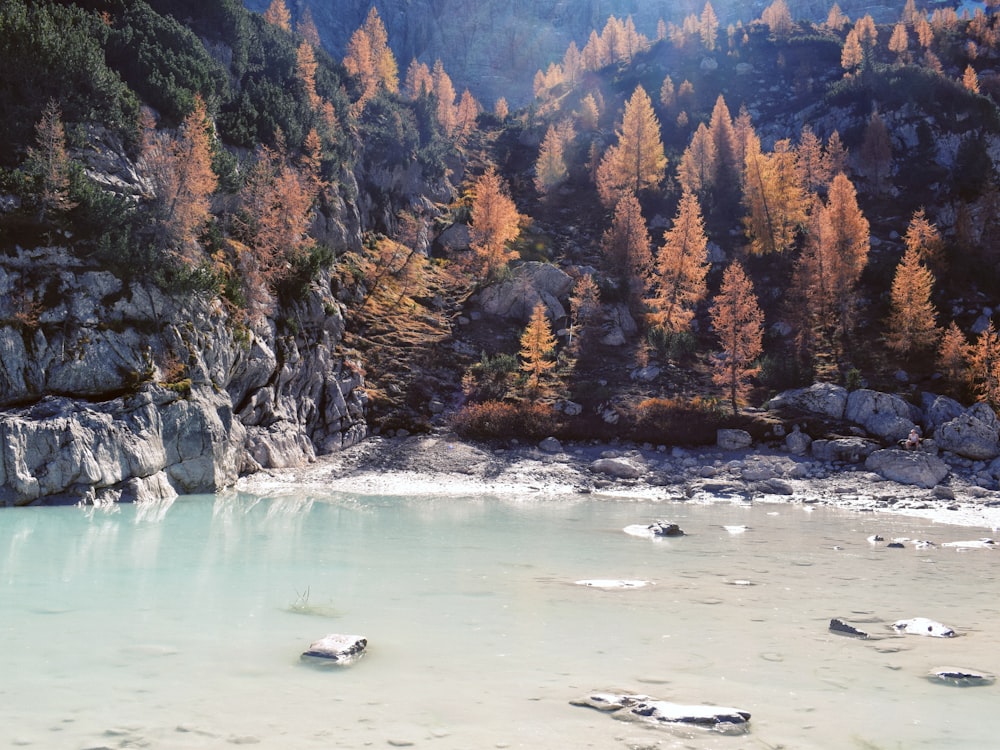 scenery of a body of water beside a mountain