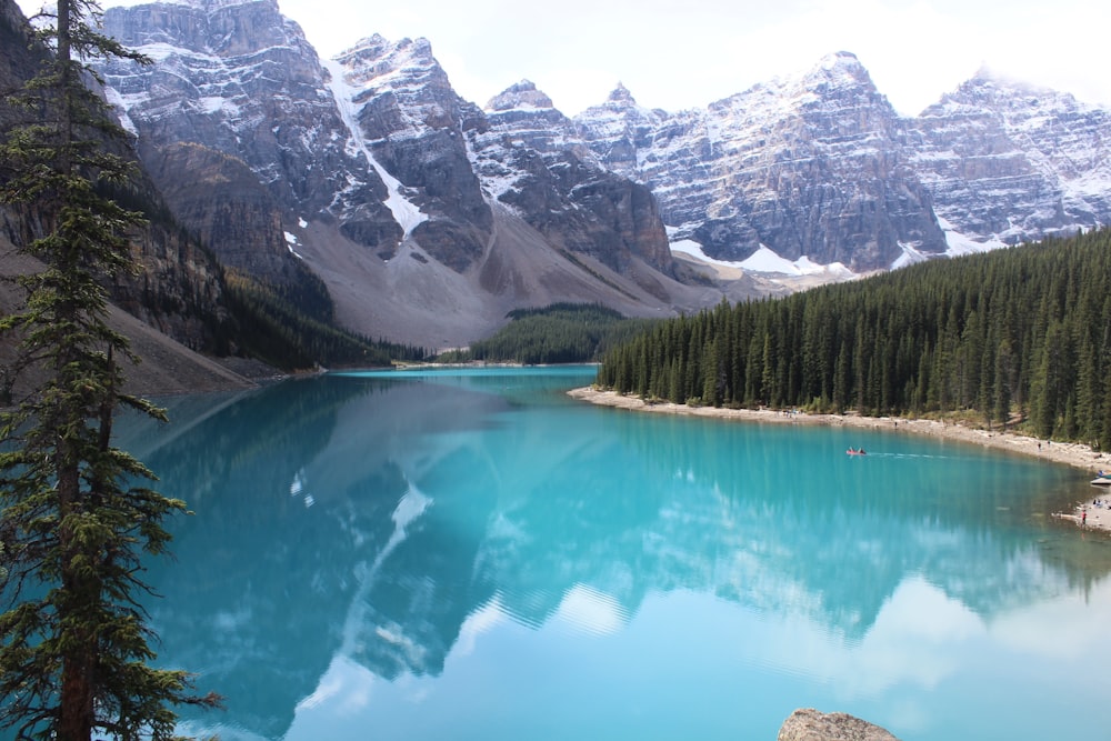 aerial shot of body of water