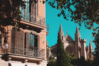 low angle photography of Gothic cathedral