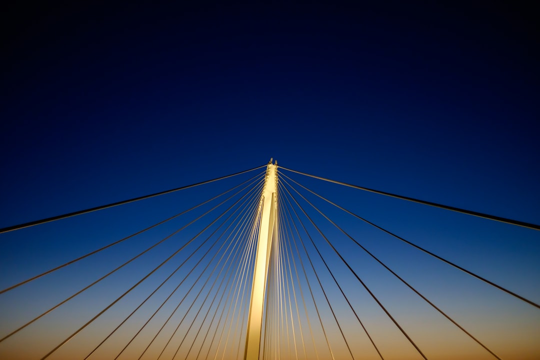 low angle photograph of cable bridge