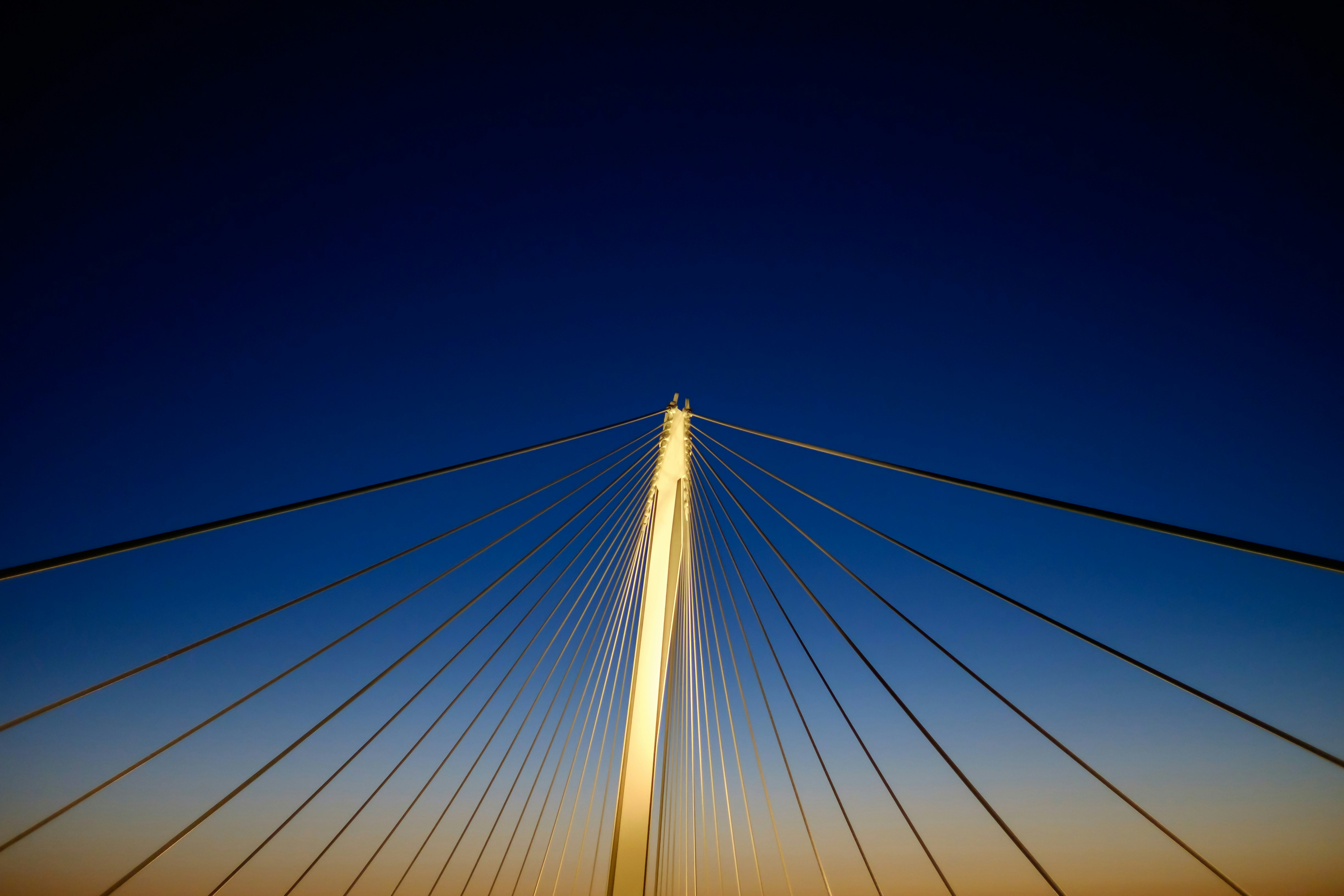 low angle photograph of cable bridge