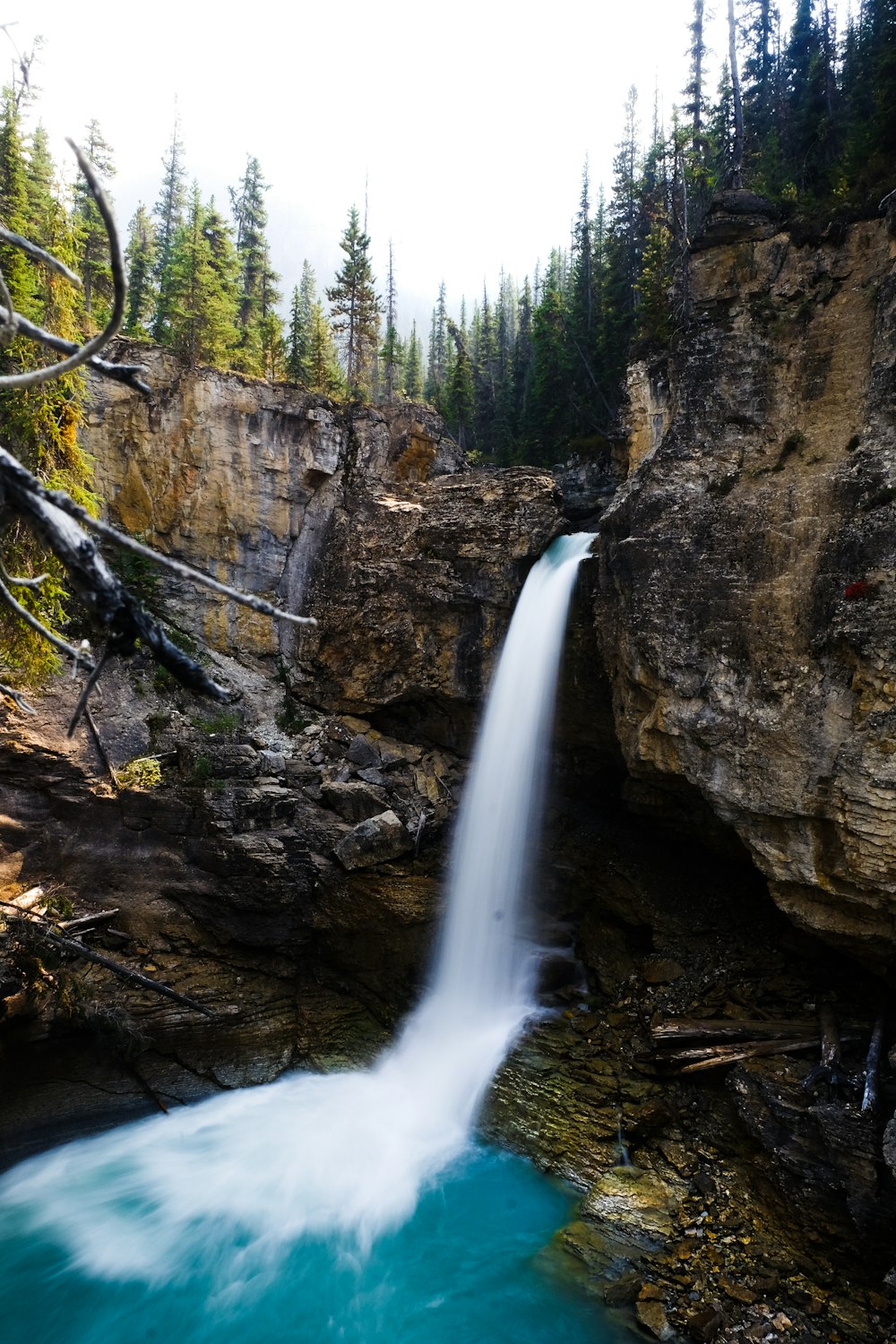 waterfall in the middle of forest