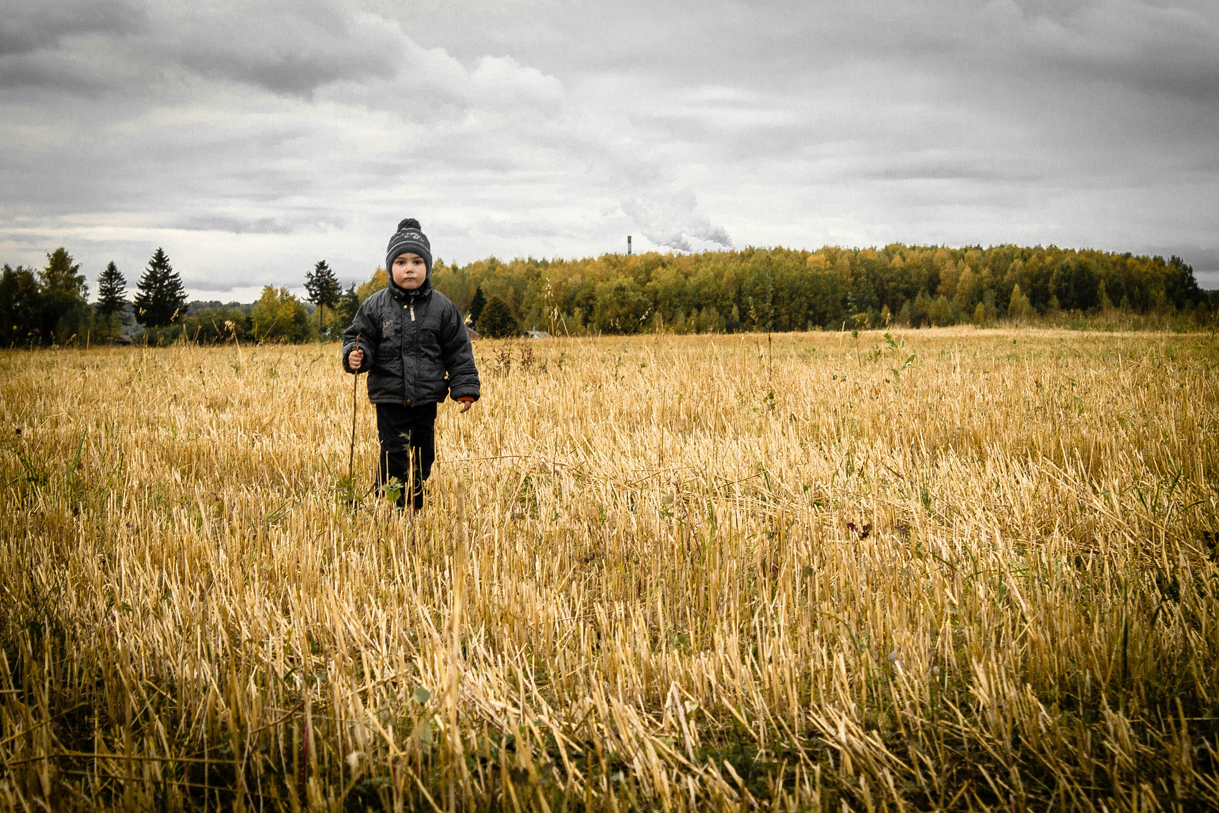 person standing on rice field under white sky at daytime