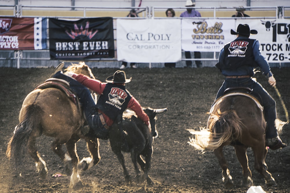 two cowboys riding a horse while catching a bull