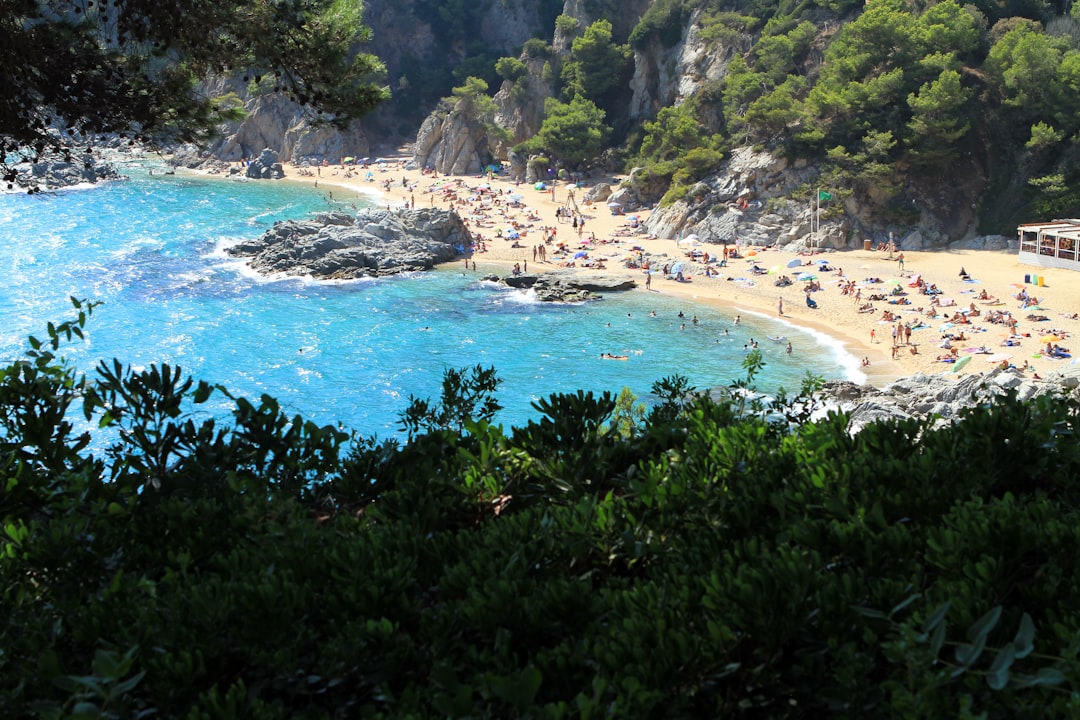 photo of Tossa de Mar Nature reserve near Onyar River