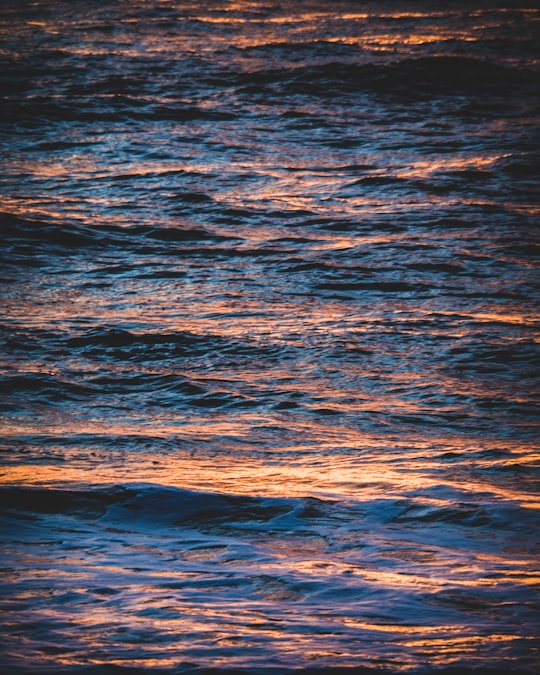 photo of Semaphore Ocean near Adelaide Botanic Garden