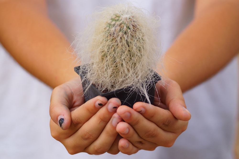 woman showing cactus