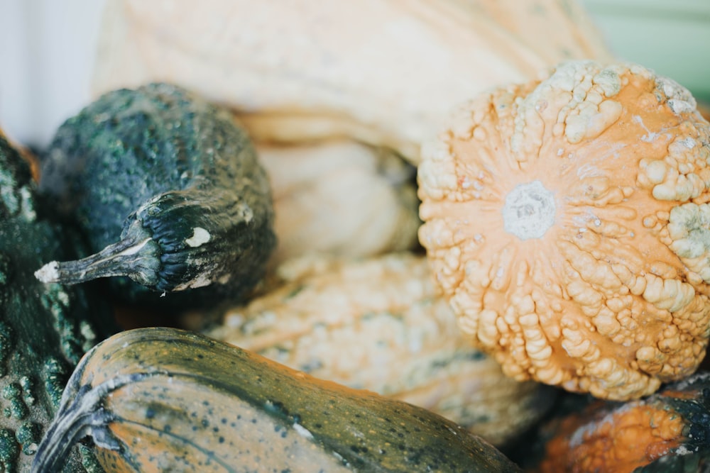 closeup photography of assorted gourd
