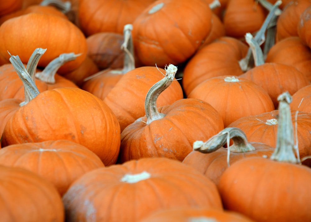 orange pumpkins