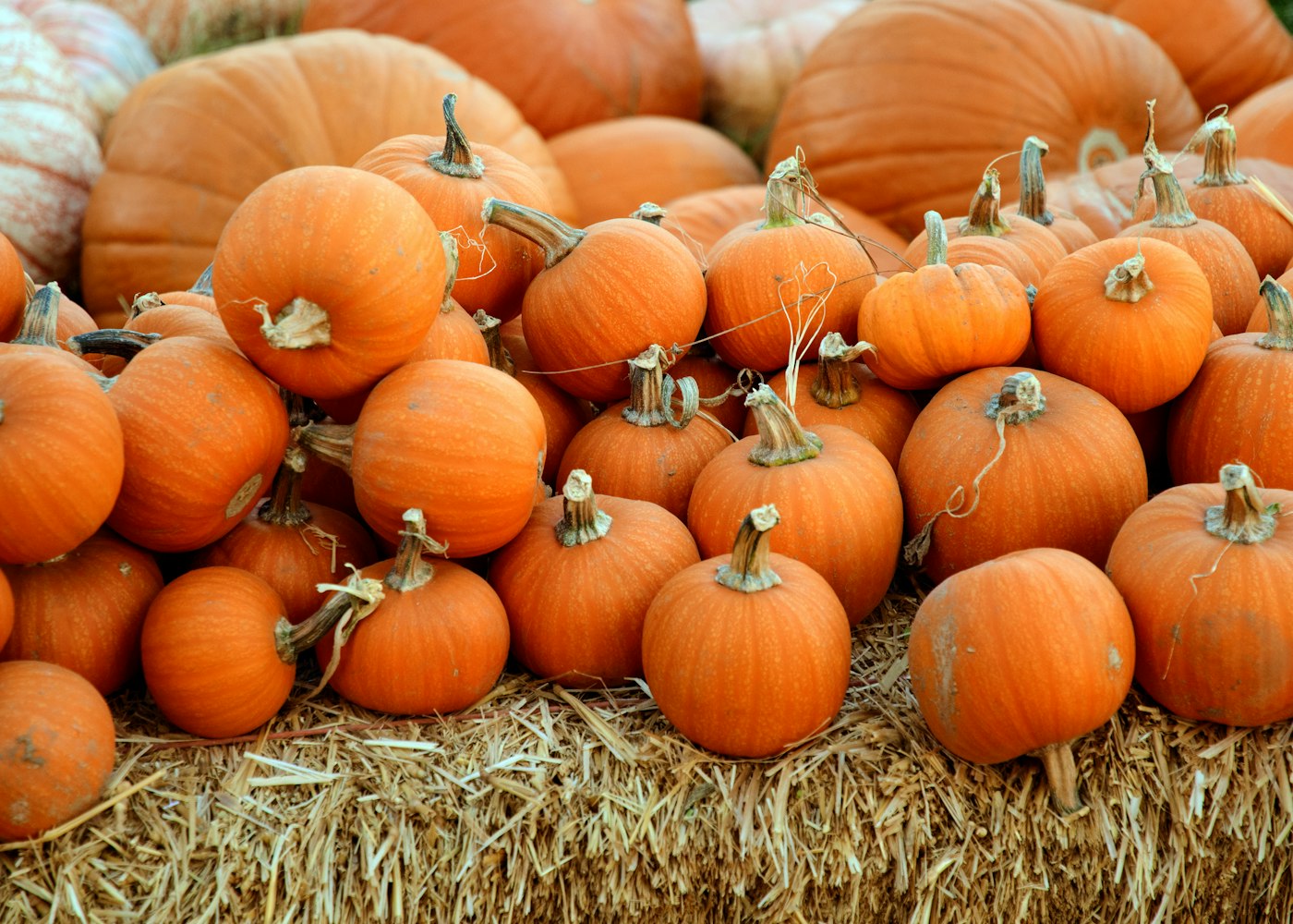 Butternut