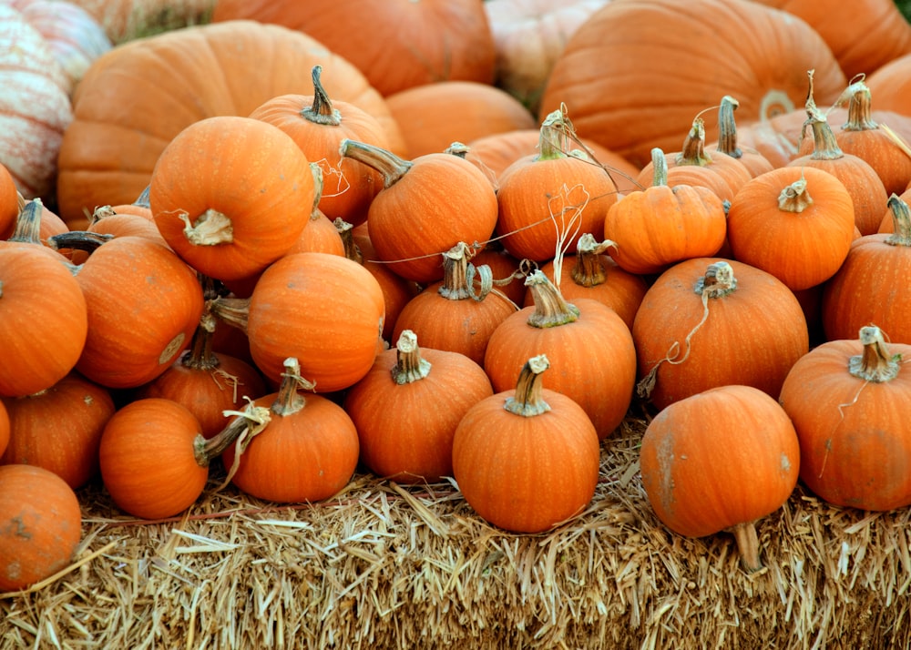 pila de calabaza naranja