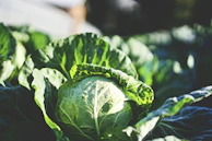 Close-up of fresh produce from a local farmer's market, bathed in natural light.