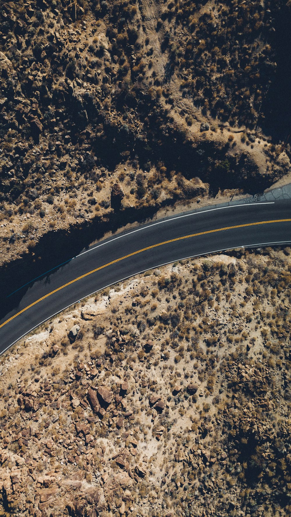 昼間の背の高い木々の間の道路の空中写真