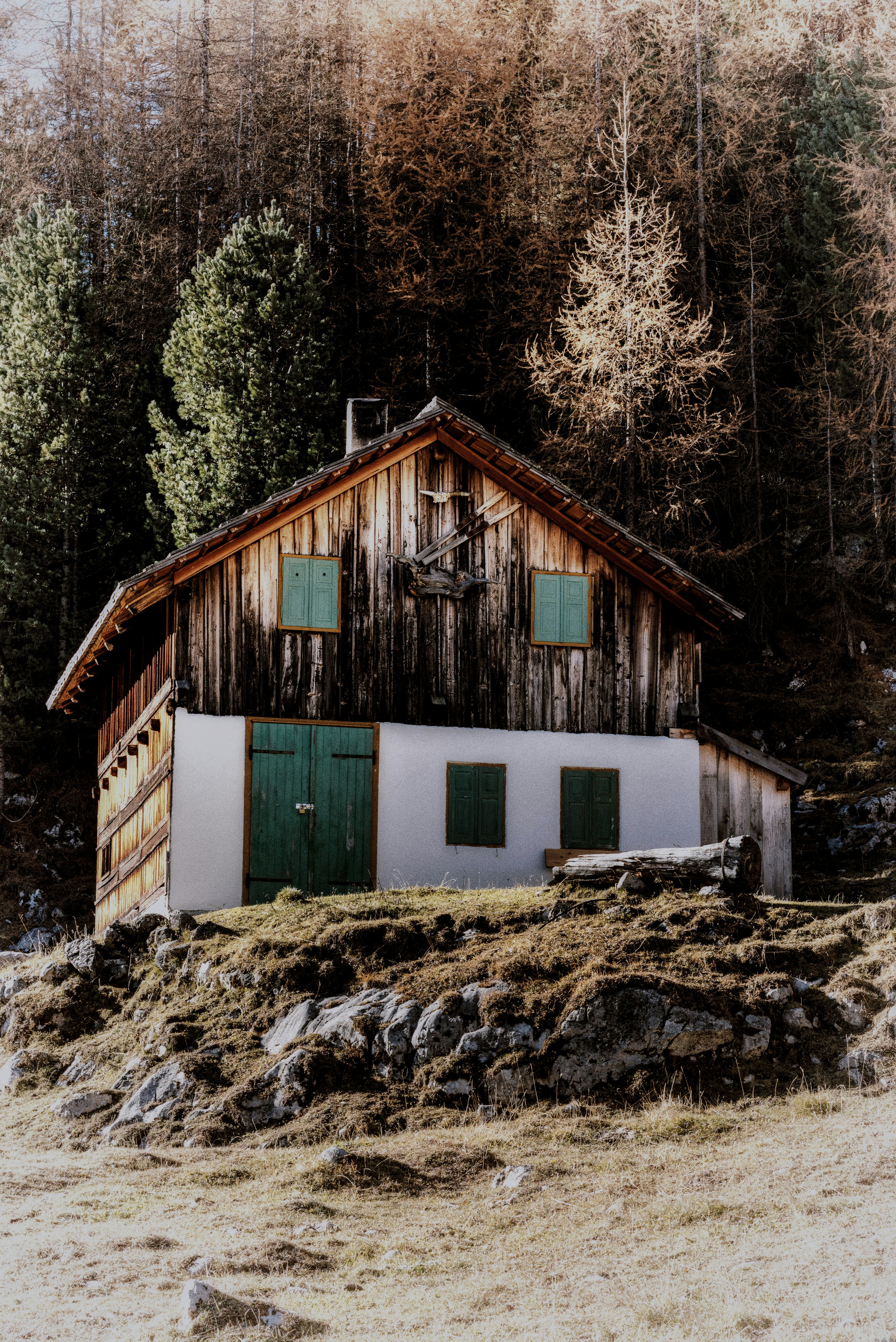 brown and white painted house near forest at daytime