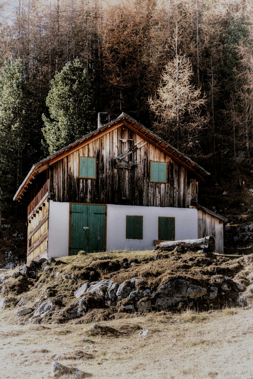 낮에는 숲 근처의 갈색과 흰색으로 칠해진 집
