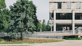 Study in Canada with DS Education – Expert guidance & CDI practicum support.