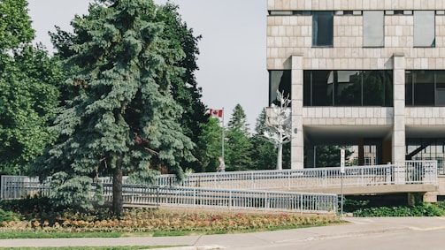 A modern, multi-story building with large windows and a stone facade is partially obscured by lush green trees. A Canadian flag is visible in the background, indicating the location. In front of the building, a well-maintained landscaped area features a tall evergreen tree and other plants. A metal railing runs along a walkway leading up to the building entrance.
