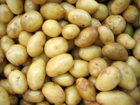 can my dog eat potatoes