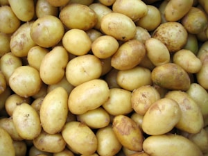 البطاطا