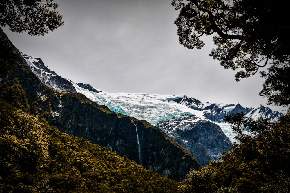 photo of mountain alps