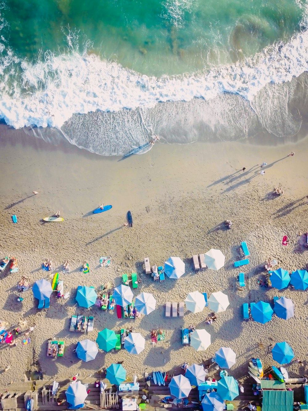 bird's eye view photo group of people lying on sea shore