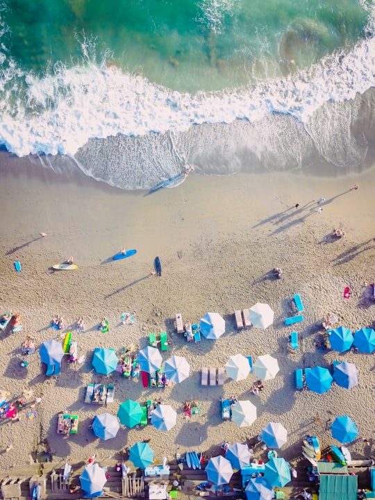 bird's eye view photo group of people lying on sea shore in Canggu Indonesia