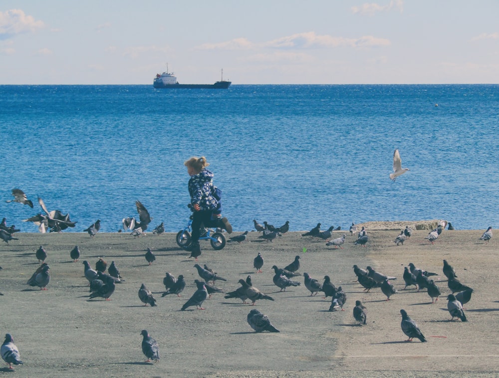 fotografia time lapse di ragazza che corre tra stormo di colombe di roccia