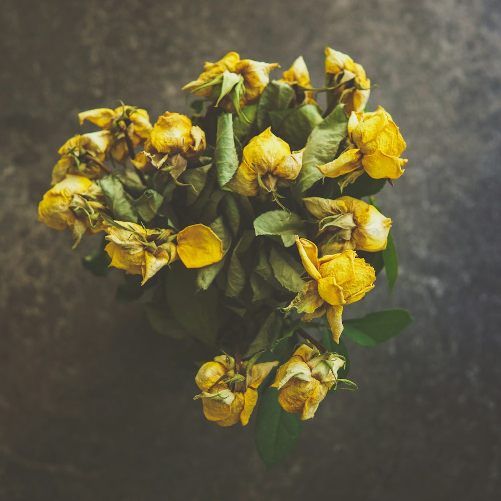 Fotografia de foco seletivo do arranjo de flores de rosa amarela ]